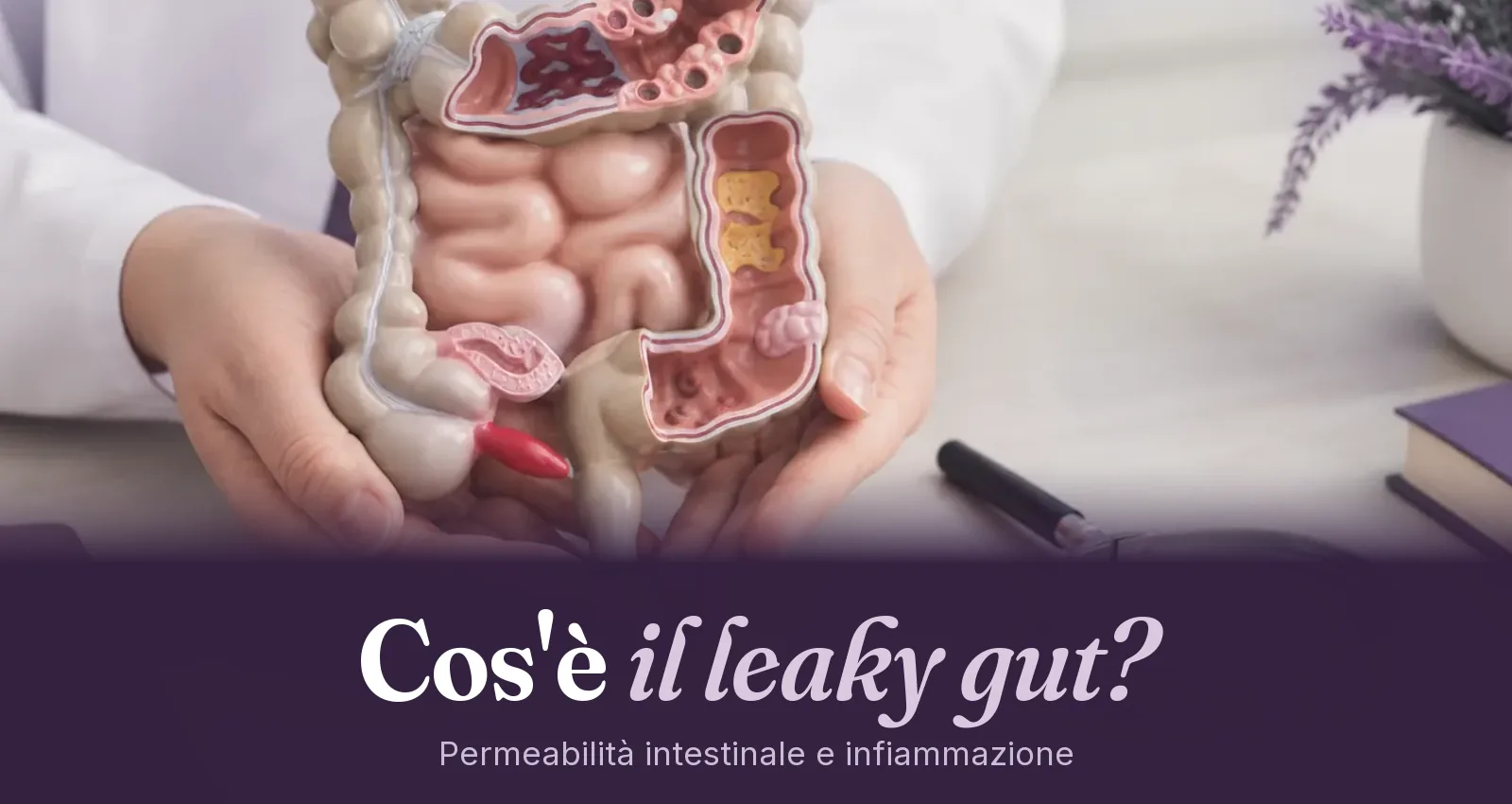 Mani guantate reggono un modello anatomico dell'intestino accanto a una lente d'ingrandimento